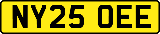 NY25OEE