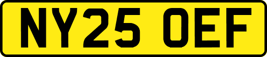 NY25OEF