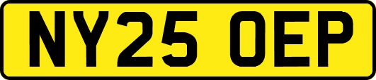 NY25OEP