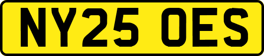 NY25OES