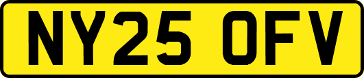 NY25OFV