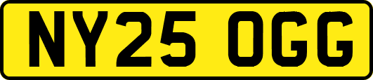 NY25OGG