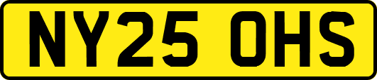 NY25OHS
