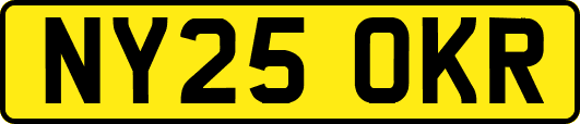 NY25OKR