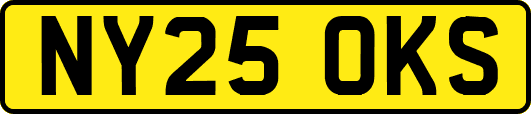 NY25OKS