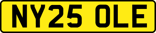 NY25OLE