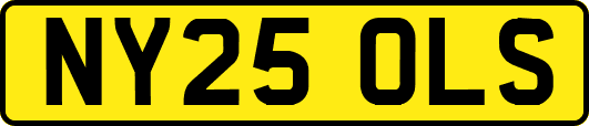 NY25OLS