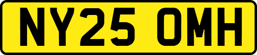 NY25OMH