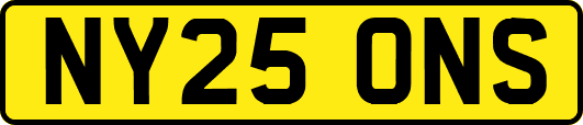 NY25ONS