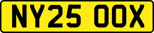 NY25OOX