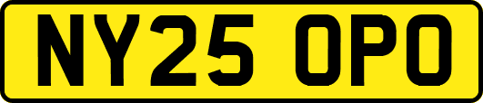 NY25OPO