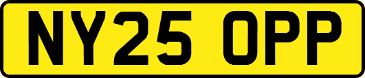 NY25OPP