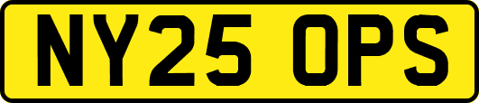 NY25OPS