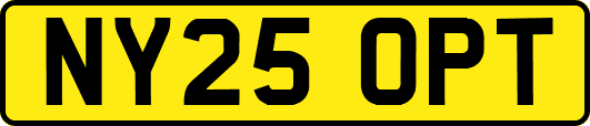 NY25OPT