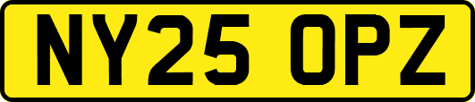 NY25OPZ