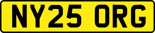 NY25ORG