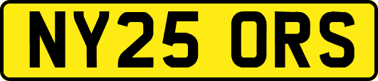 NY25ORS