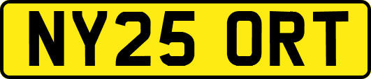 NY25ORT