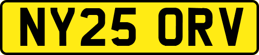 NY25ORV