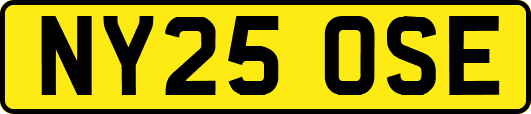 NY25OSE