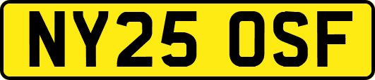 NY25OSF