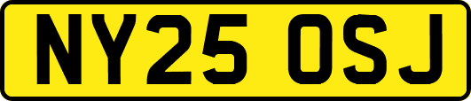 NY25OSJ