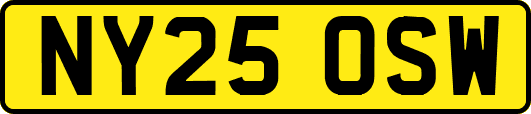 NY25OSW