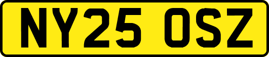 NY25OSZ