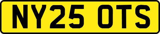 NY25OTS