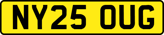 NY25OUG