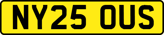 NY25OUS