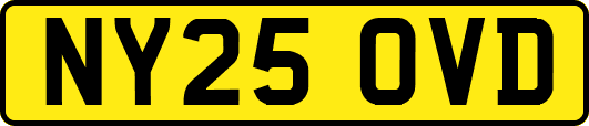 NY25OVD