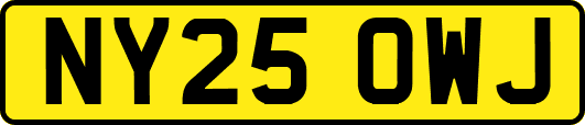NY25OWJ