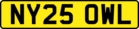 NY25OWL
