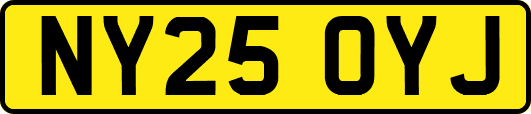 NY25OYJ