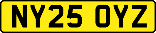NY25OYZ