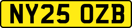 NY25OZB