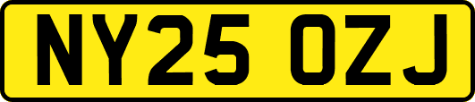 NY25OZJ