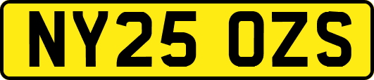 NY25OZS
