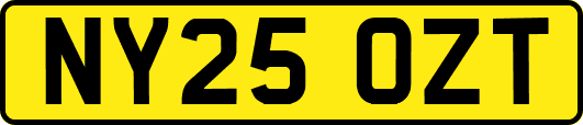 NY25OZT