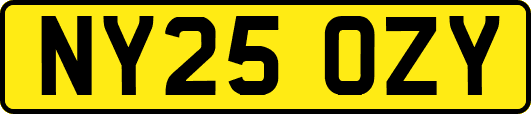 NY25OZY