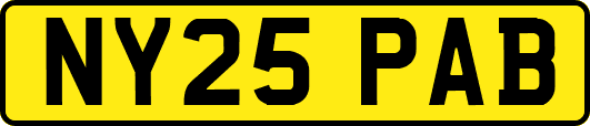 NY25PAB