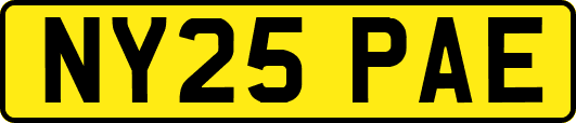 NY25PAE