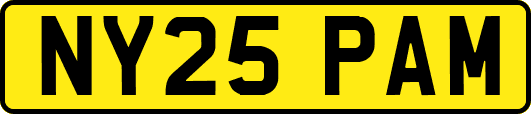NY25PAM