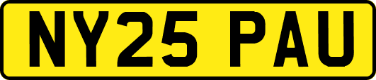 NY25PAU