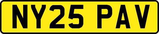 NY25PAV