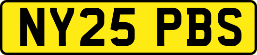 NY25PBS