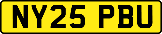 NY25PBU