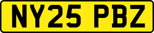 NY25PBZ