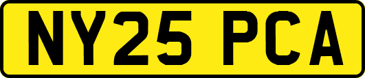 NY25PCA